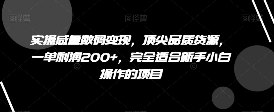 实操咸鱼数码变现，顶尖品质货源，一单利润200+，完全适合新手小白操作的项目【揭秘】-创业资源网