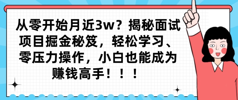 从零开始月近3w？揭秘面试项目掘金秘笈，轻松学习、零压力操作，小白也能成为赚钱高手-创业资源网