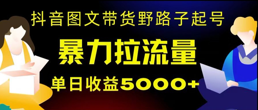 抖音图文带货暴力起号，单日收益5000+，野路子玩法，简单易上手，一部手机即可【揭秘】-创业资源网