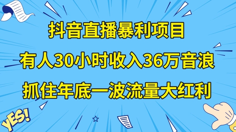 抖音直播暴利项目，有人30小时收入36万音浪，公司宣传片年会视频制作，抓住年底一波流量大红利【揭秘】-创业资源网