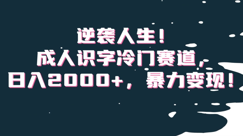 逆袭人生！成人识字冷门赛道，日入2000+，暴力变现！【揭秘】-创业资源网