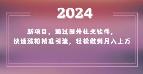 2024新项目，通过国外社交软件，快速涨粉精准引流，轻松做到月入上万【揭秘】-创业资源网