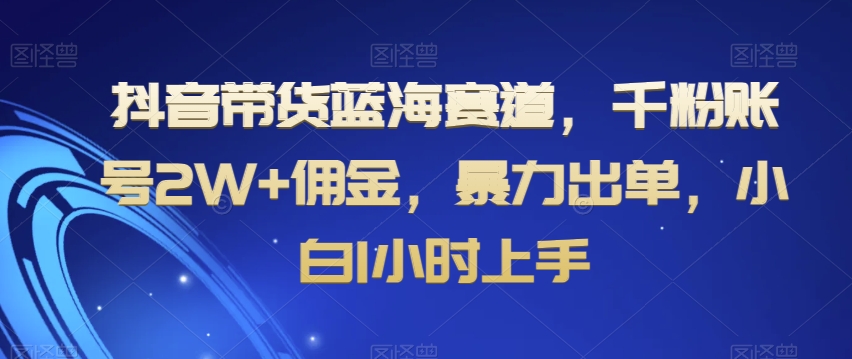 抖音带货蓝海赛道，千粉账号2W+佣金，暴力出单，小白1小时上手【揭秘】-创业资源网