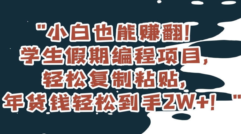 小白也能赚翻！学生假期编程项目，轻松复制粘贴，年货钱轻松到手2W+【揭秘】-创业资源网