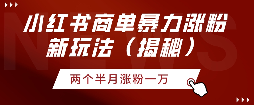 小红书商单暴力涨粉新玩法两个半月涨粉一万-创业资源网