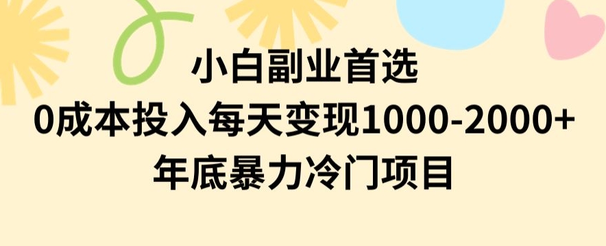 小白副业首选，0成本投入，每天变现1000-2000年底暴力冷门项目【揭秘】-创业资源网