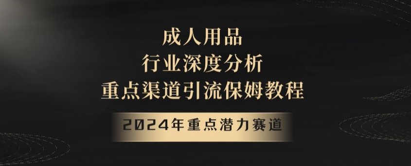 2024年重点潜力赛道，成人用品行业深度分析，重点渠道引流保姆教程【揭秘】-创业资源网
