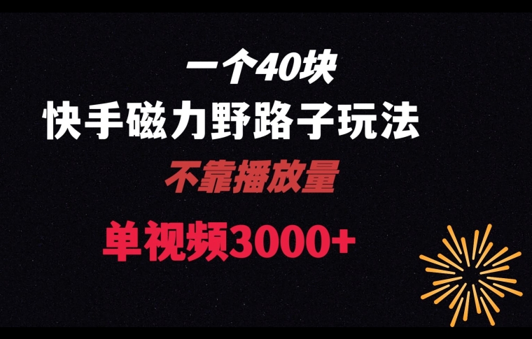 一个40块，快手联合美团磁力新玩法，无视机制野路子玩法，单视频收益4位数【揭秘】-创业资源网