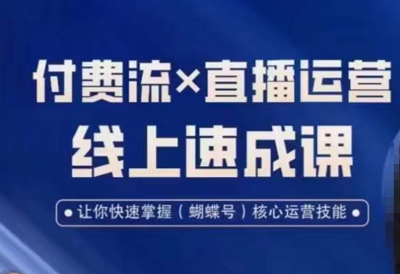 视频号付费流实操课程，付费流✖️直播运营速成课，让你快速掌握视频号核心运营技能-创业资源网