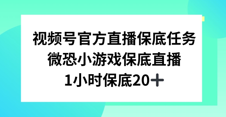 视频号直播任务，微恐小游戏，1小时20+【揭秘】-创业资源网