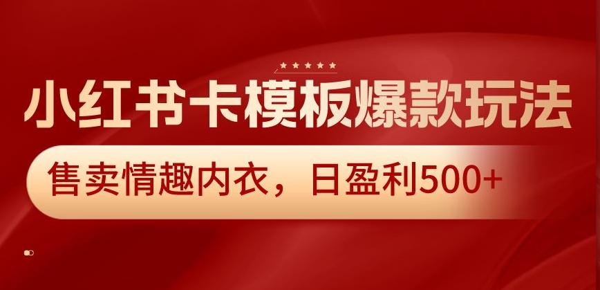 小红书卡模板爆款玩法，售卖情趣内衣，日盈利500+【揭秘】-创业资源网