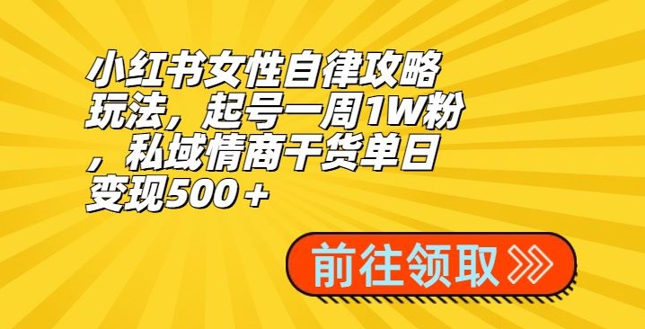 小红书女性自律攻略玩法，起号一周1W粉，私域情商干货单日变现500＋-创业资源网