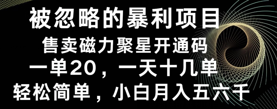 被忽略的暴利项目！售卖磁力聚星开通码，一单20，一天十几单，轻松月入五六千-创业资源网