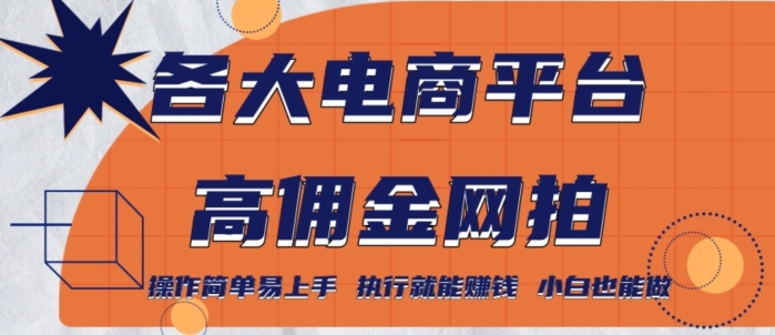 各大电商平台高佣金网拍，操作简单易上手，执行就能赚钱，小白也能做-创业资源网