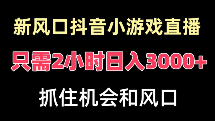 新风口抖音小游戏直播，每天只需2小时，日入3000+，小白直接上手-创业资源网