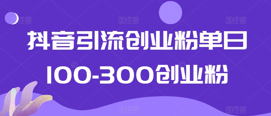 抖音引流创业粉单日100-300创业粉【揭秘】-创业资源网