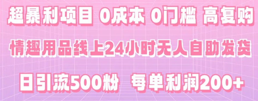 超暴利项目，情趣用品线上24小时-无人自助发货，0成本，0门槛，高复购-创业资源网