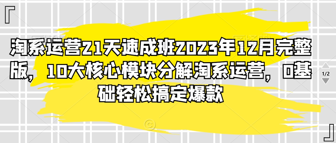 淘系运营21天速成班2023年12月完整版，10大核心模块分解淘系运营，0基础轻松搞定爆款-创业资源网