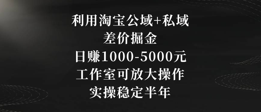 利用淘宝公域+私域差价掘金，日赚1000-5000元，工作室可放大操作，实操稳定半年【揭秘】-创业资源网