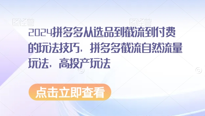 2024拼多多从选品到截流到付费的玩法技巧，拼多多截流自然流量玩法，高投产玩法-创业资源网