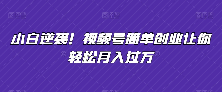 小白逆袭！视频号简单创业让你轻松月入过万-创业资源网