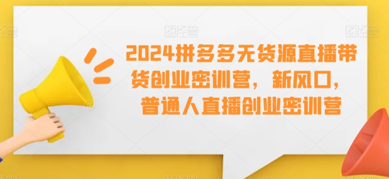 2024拼多多无货源直播带货创业密训营，新风口，普通人直播创业密训营-创业资源网