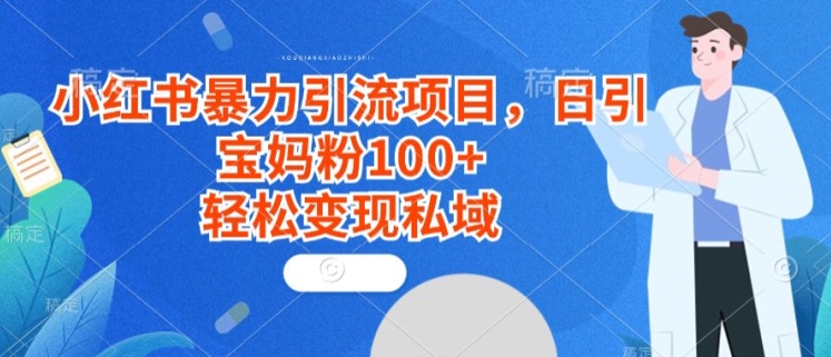 小红书暴力引流项目，日引宝妈粉100+，轻松变现私域-创业资源网