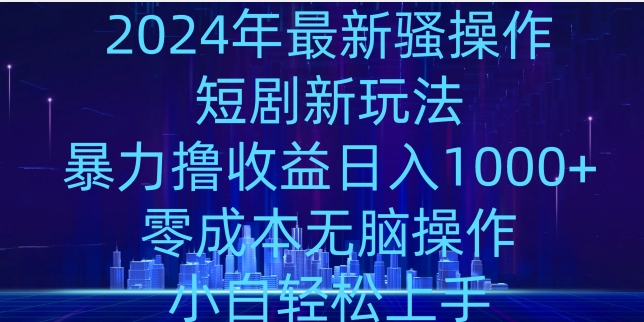 2024年骚操作短剧新玩法，暴力撸收益日入1000+，零成本无脑操作，小白轻松上手-创业资源网