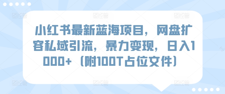 小红书最新蓝海项目，网盘扩容私域引流，暴力变现，日入1000+【揭秘】-创业资源网