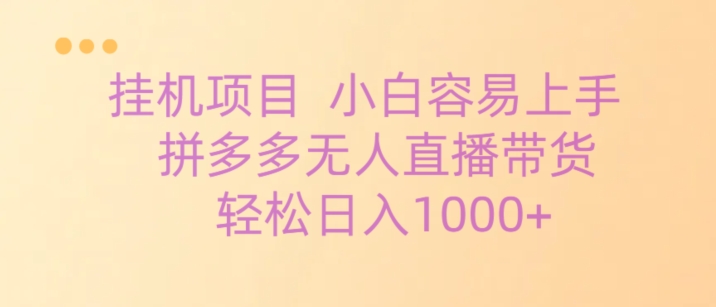 挂机项目拼多多无人直播带货，轻松日入1000+-创业资源网