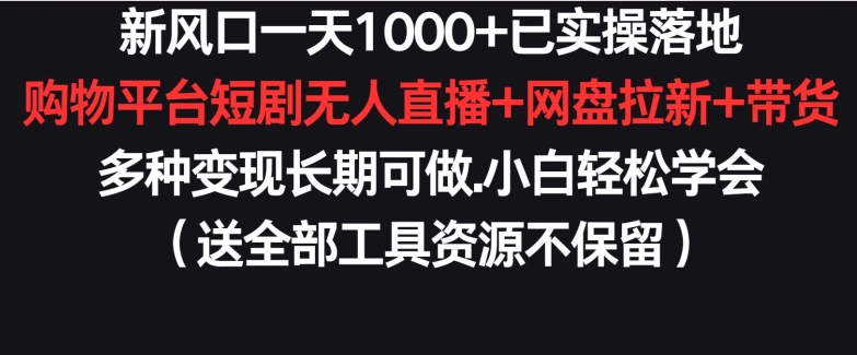 新风口一天1000+已实操落地购物平台短剧无人直播+网盘拉新+带货多种变现长期可做【揭秘】-创业资源网