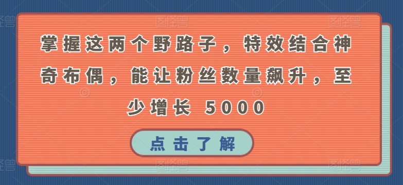 掌握这两个野路子，特效结合神奇布偶，能让粉丝数量飙升，至少增长 5000【揭秘】-创业资源网