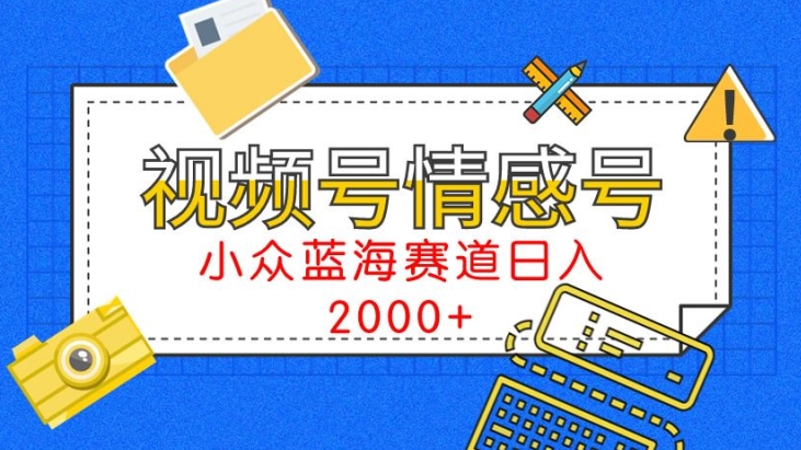 视频号情感号小众蓝海赛道，每天一小时，日入3000+-创业资源网