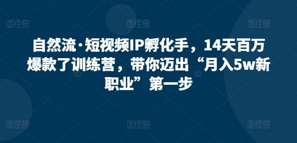 自然流·短视频IP孵化手，14天百万爆款了训练营，带你迈出“月入5w新职业”第一步-创业资源网