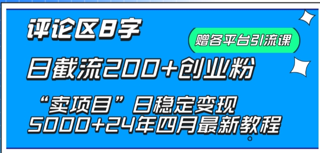 抖音评论区8字日截流200+创业粉 “卖项目”日稳定变现5000+【揭秘】-创业资源网