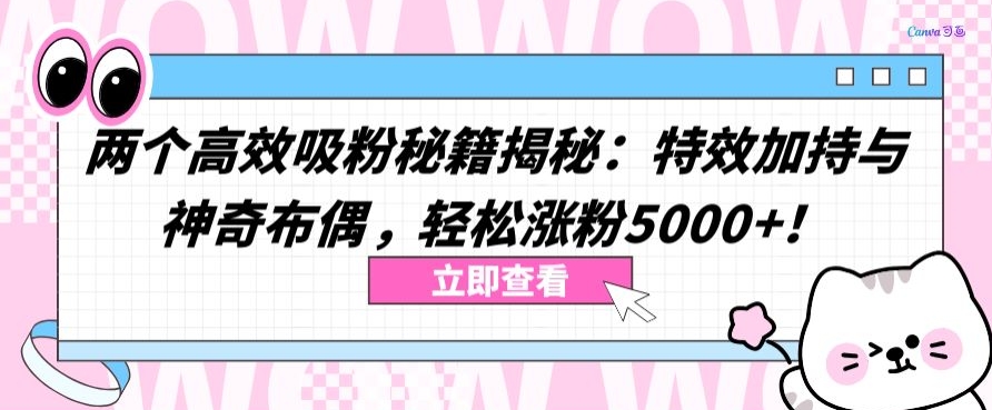 两个高效吸粉秘籍揭秘：特效加持与神奇布偶，轻松涨粉5000+【揭秘】-创业资源网