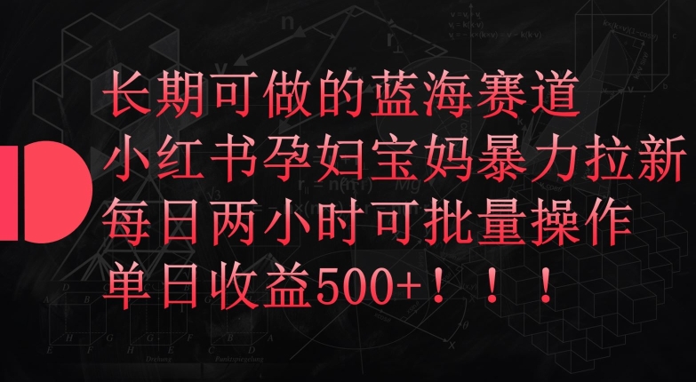 长期可做的蓝海赛道，小红书孕妇宝妈暴力拉新玩法，每日两小时可批量操作，单日收益500+【揭秘】-创业资源网