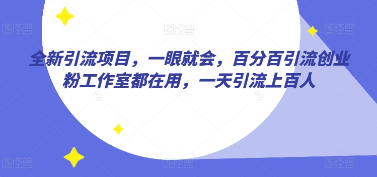 全新引流项目，一眼就会，百分百引流创业粉工作室都在用，一天引流上百人-创业资源网