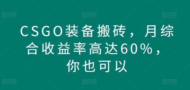 CSGO装备搬砖，月综合收益率高达60%，你也可以-创业资源网