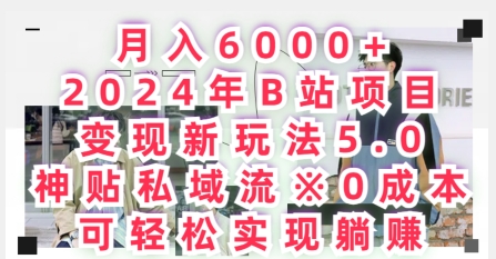 月入6000+，2024年B站项目变现新玩法5.0.神贴私域流0成本，可轻松实现躺赚-创业资源网