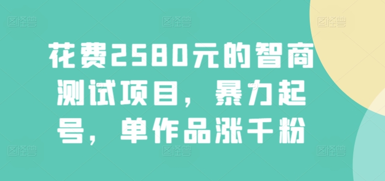 花费2580元的智商测试项目，暴力起号，单作品涨千粉-创业资源网