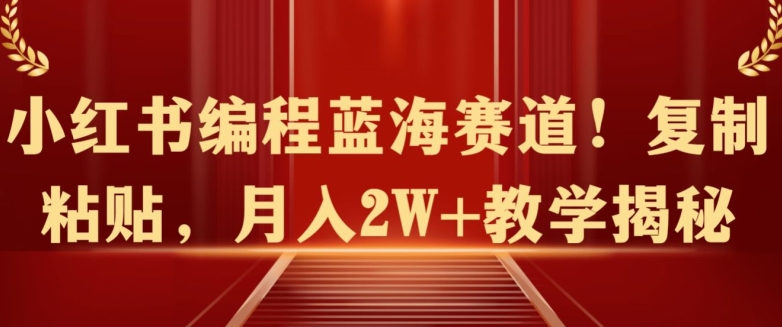 小红书编程蓝海赛道!复制粘贴，月入2W+教学揭秘-创业资源网