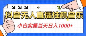 小白实操当天日入1000+，抖音24小时无人直播音乐，不违规，不封号纯撸音浪-创业资源网
