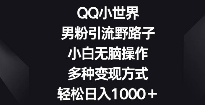 QQ小世界男粉引流野路子，小白无脑操作，多种变现方式轻松日入1000+-创业资源网