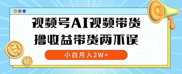 视频号AI视频带货，全程解放双手，撸收益带货两不误，小白月入2W+-创业资源网