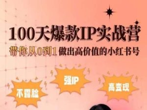 小红书的100天爆品IP实战营，陪你从0到1作出高颜值的小红书号-创业资源网
