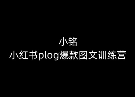 小铭-小红书的plog爆品图文并茂夏令营，教大家从0-1做小红书的-创业资源网