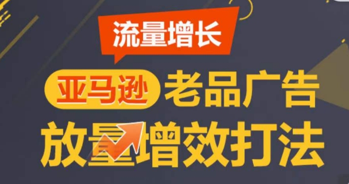 亚马逊平台流量增长-老品广告宣传放量上涨提质增效玩法，由浅入深，打造更多TOP listing-创业资源网