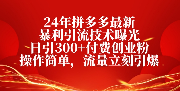 24年拼多多最新爆利引流技术曝出，日引300 付钱自主创业粉，使用方便，总流量马上点爆-创业资源网