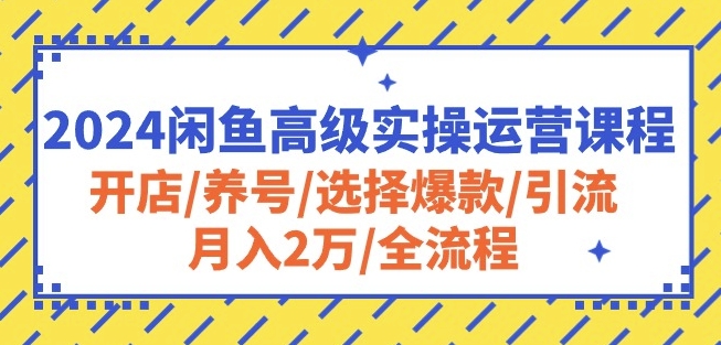 2024闲鱼高级实操运营课程：开店/养号/选择爆款/引流/月入2万/全流程-创业资源网